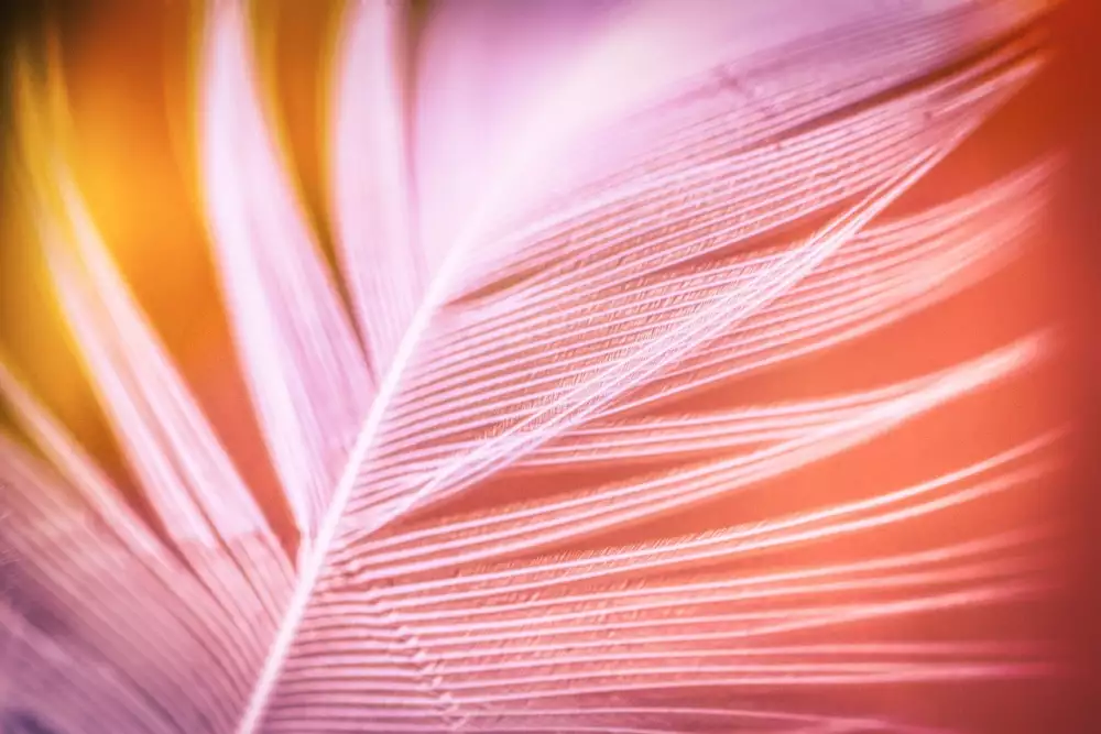 Nabídka Práce Ivančice