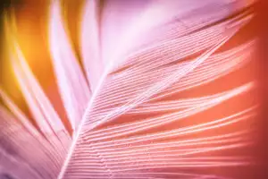 Nabídka Práce Ivančice